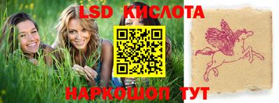 spice Камышлов