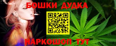 spice Камышлов