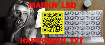 spice Камышлов