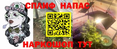 spice Камышлов