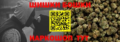 spice Камышлов