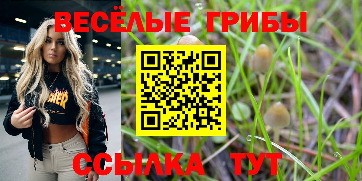 Галлюциногенные грибы Magic Shrooms Кушва